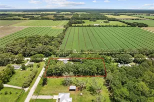 4191 Canal Ave, Bunnell, FL 32110 - Photo 74