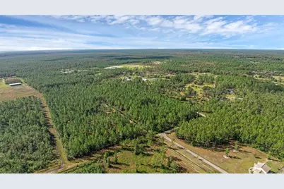 2 Wild Cur Road, Pierson, FL 32180 - Photo 4