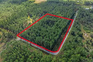 2 Wild Cur Rd, Pierson, FL 32180 - Photo 1