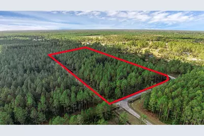 2 Wild Cur Road, Pierson, FL 32180 - Photo 2