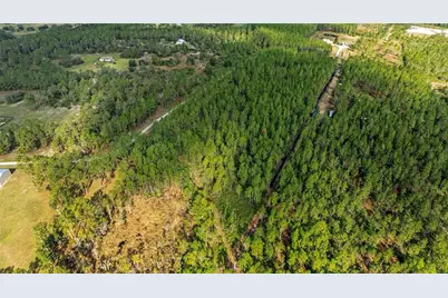 1 Wild Cur Road, Pierson, FL 32180 - Photo 8