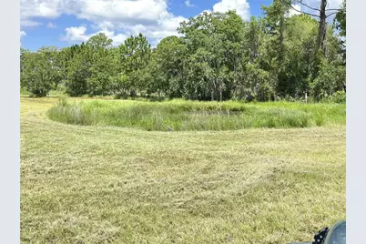 820 Chicken Farm Road, Osteen, FL 32764 - Photo 22