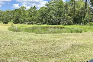 820 Chicken Farm Rd, Osteen, FL 32764 - Photo 22