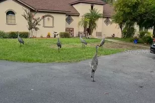 2622 Carolyn St, Deltona, FL 32738 - Photo 40