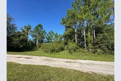 Woodland Avenue, Paisley, FL 32767 - Photo 1