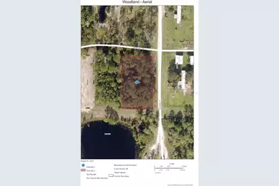 Woodland Avenue, Paisley, FL 32767 - Photo 4