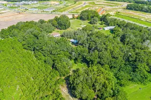 810 Plum-Nearly Ln, Lady Lake, FL 32159 - Photo 24