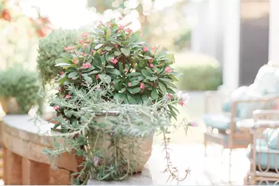 1606 Tango Street, The Villages, FL 32163 - Photo 44