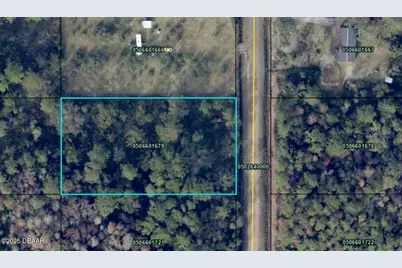 10675 Weatherby Avenue, Hastings, FL 32145 - Photo 4