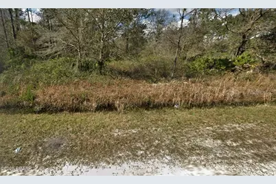 10675 Weatherby Avenue, Hastings, FL 32145 - Photo 1