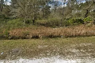 10675 Weatherby Ave, Hastings, FL 32145 - Photo 1