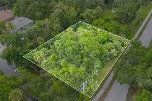 0 Milford Pl, New Smyrna Beach, FL 32168 - Photo 1