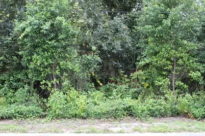 510 Fred Gamble Way, Ormond Beach, FL 32174 - Photo 4