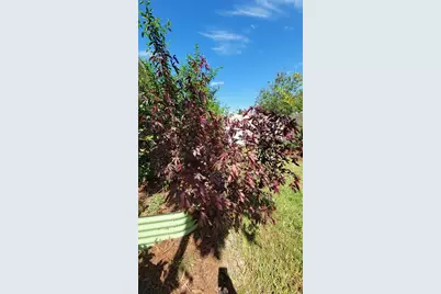 493 Nowell Loop, Deland, FL 32724 - Photo 32