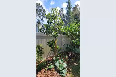 493 Nowell Loop, Deland, FL 32724 - Photo 36