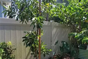 493 Nowell Loop, Deland, FL 32724 - Photo 36