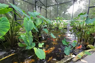 493 Nowell Loop, Deland, FL 32724 - Photo 4