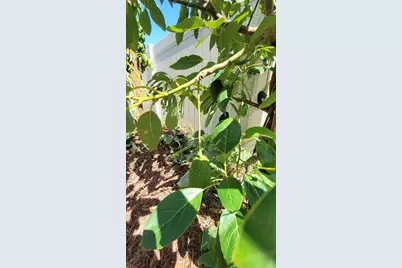 493 Nowell Loop, Deland, FL 32724 - Photo 38