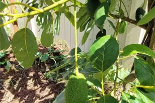 493 Nowell Loop, Deland, FL 32724 - Photo 38