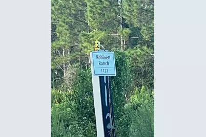 1117 Piney Woods Trail, Osteen, FL 32764 - Photo 8