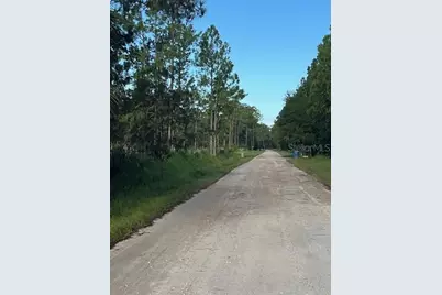 1117 Piney Woods Trail, Osteen, FL 32764 - Photo 4