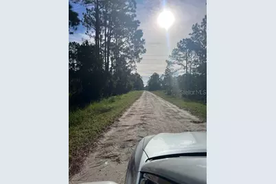 1117 Piney Woods Trail, Osteen, FL 32764 - Photo 22