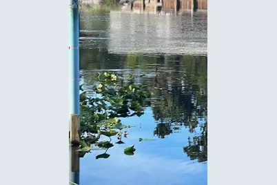 1117 Piney Woods Trail, Osteen, FL 32764 - Photo 28