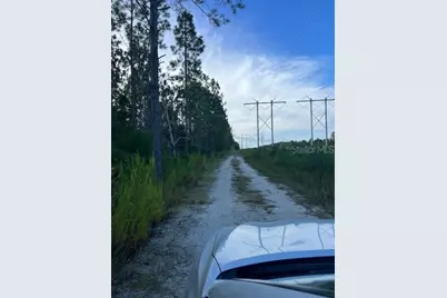 1117 Piney Woods Trail, Osteen, FL 32764 - Photo 10