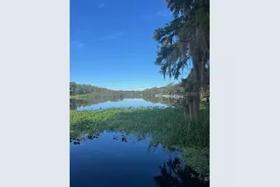 1117 Piney Woods Trail, Osteen, FL 32764 - Photo 32