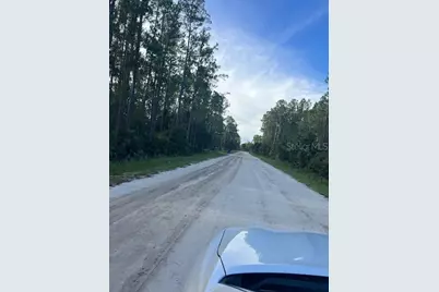 1117 Piney Woods Trail, Osteen, FL 32764 - Photo 2