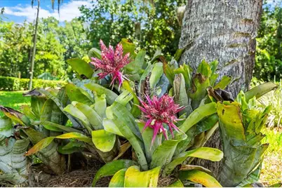 1020 Old Big Tree Road, Daytona Beach, FL 32119 - Photo 24