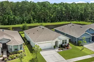 114 Birch Tree Pl, Daytona Beach, FL 32117 - Photo 30