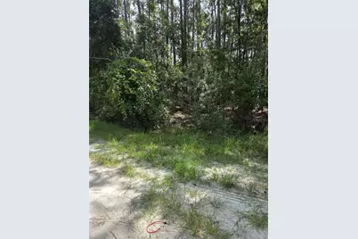 100 Palmetto Lane, Georgetown, FL 32139 - Photo 1