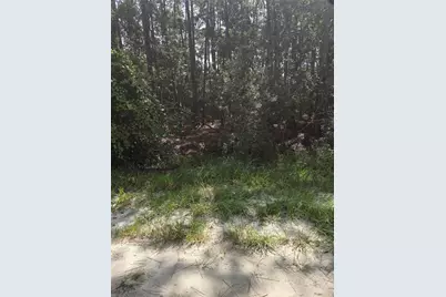 100 Palmetto Lane, Georgetown, FL 32139 - Photo 2