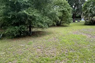 305 Violetwood Rd, Deland, FL 32720 - Photo 8