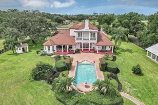 29030 Can Do Ln, Tavares, FL 32778 - Photo 66