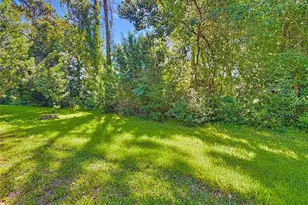 101 Cotton Seed Trail, Ormond Beach, FL 32174 - Photo 36
