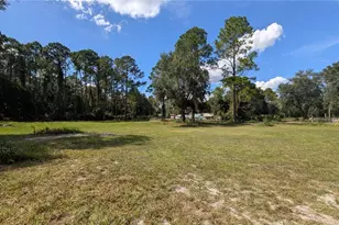 [Address not provided], Georgetown, FL 32139 - Photo 22