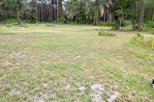[Address not provided], Georgetown, FL 32139 - Photo 24