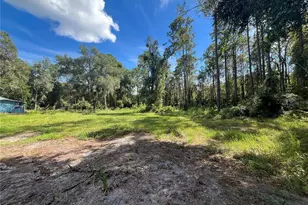 123 Linderwood Dr, Georgetown, FL 32139 - Photo 30