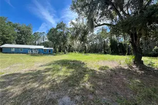123 Linderwood Dr, Georgetown, FL 32139 - Photo 1