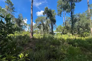 123 Linderwood Dr, Georgetown, FL 32139 - Photo 28