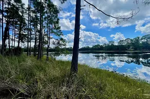 42318 W Lake Rd, Deland, FL 32720 - Photo 1