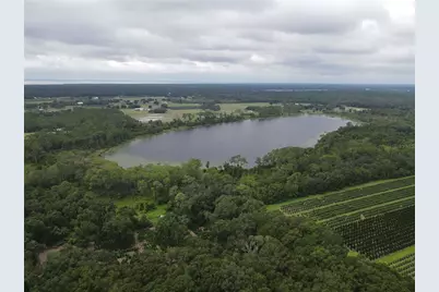 Turkey Shoot Road, Pierson, FL 32180 - Photo 4