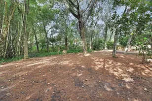 287 Crooked Tree Trail, Deland, FL 32724 - Photo 32