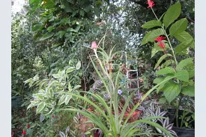 1329 Herndon Avenue, Deltona, FL 32725 - Photo 24