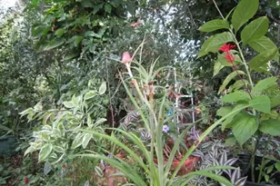 1329 Herndon Ave, Deltona, FL 32725 - Photo 24