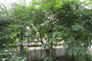 1329 Herndon Ave, Deltona, FL 32725 - Photo 36