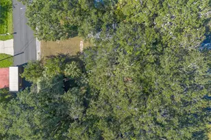 813 Magnolia Ave, Holly Hill, FL 32117 - Photo 32