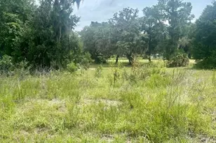 161 Live Oak Cir, Crescent City, FL 32112 - Photo 1